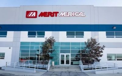 EXCLUSIVE U.S.  Merit explores sale -sources