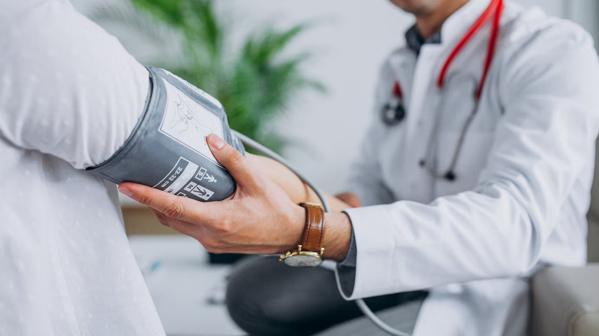 Washington Vascular | Specialist